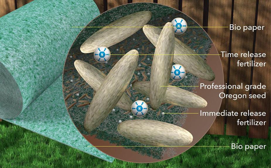PlantPaper, the innovative 3-in-1 fertiliser paper - Image 2