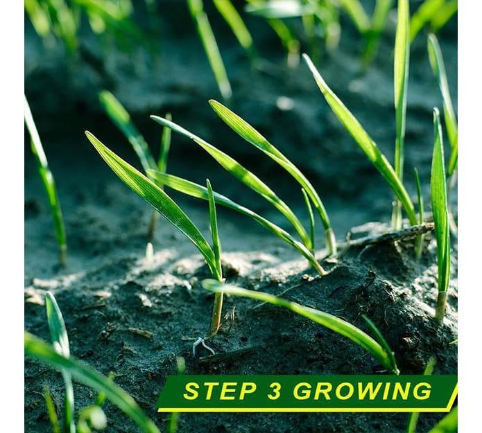 PlantPaper, the innovative 3-in-1 fertiliser paper - Image 5