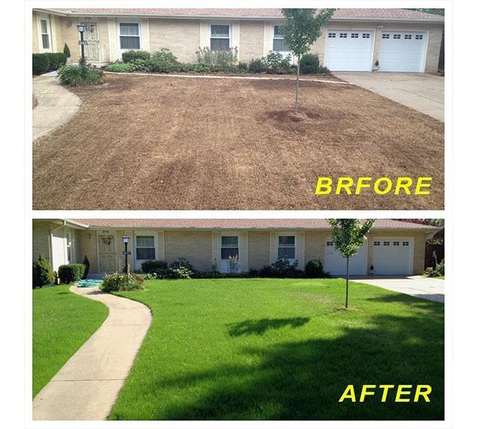 The simple solution for a nice, thick lawn