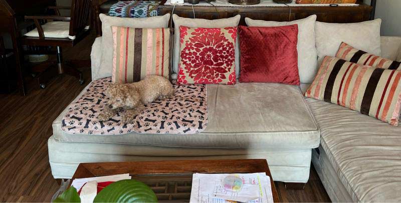 PuppyMat, dog mat - Image 3