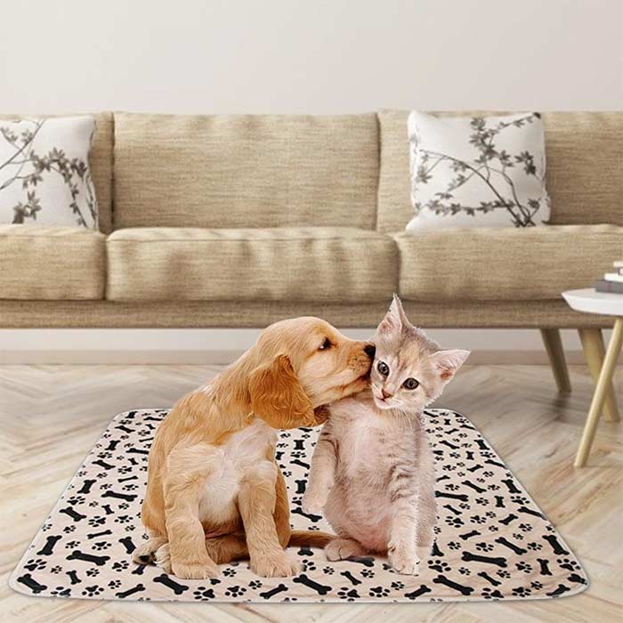 A quality dog mat is made of several different layers that allow it to absorb water perfectly and at the same time not let it through!