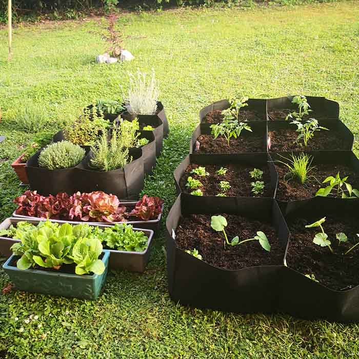 RaisedGarden, portable garden bed with 8 separate compartments - Image 4