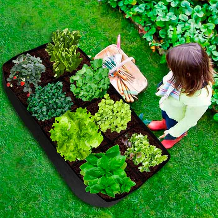 RaisedGarden, portable garden bed with 8 separate compartments - Image 5