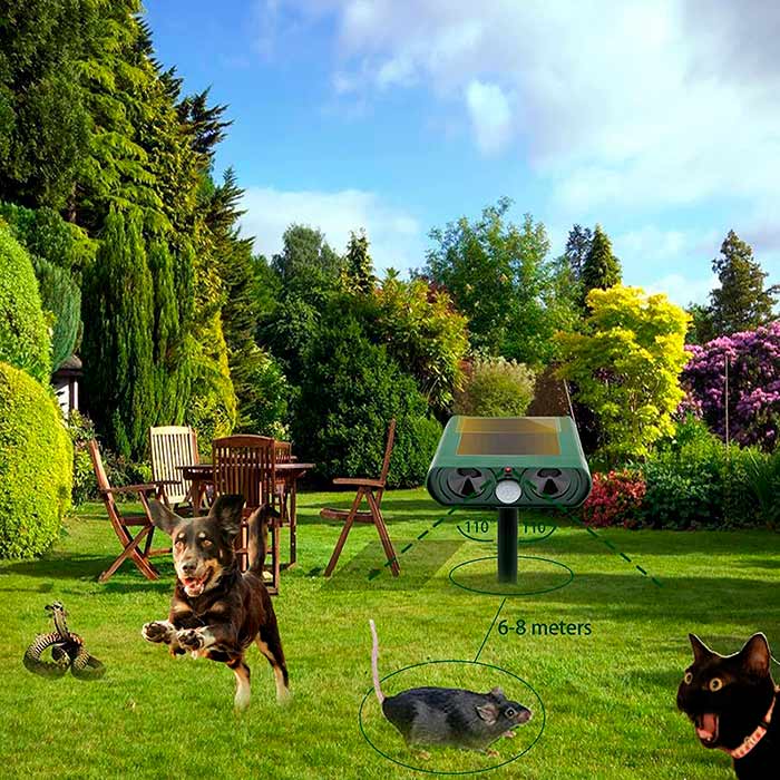 RepellentSensor, a solar-powered repeller for animals and garden pests - Image 8