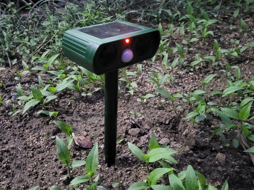 RepellentSensor, a solar-powered repeller for animals and garden pests - Image 10