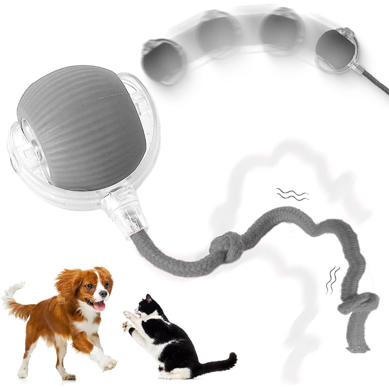 RollBall, a play ball with a leash for pets - Image 3