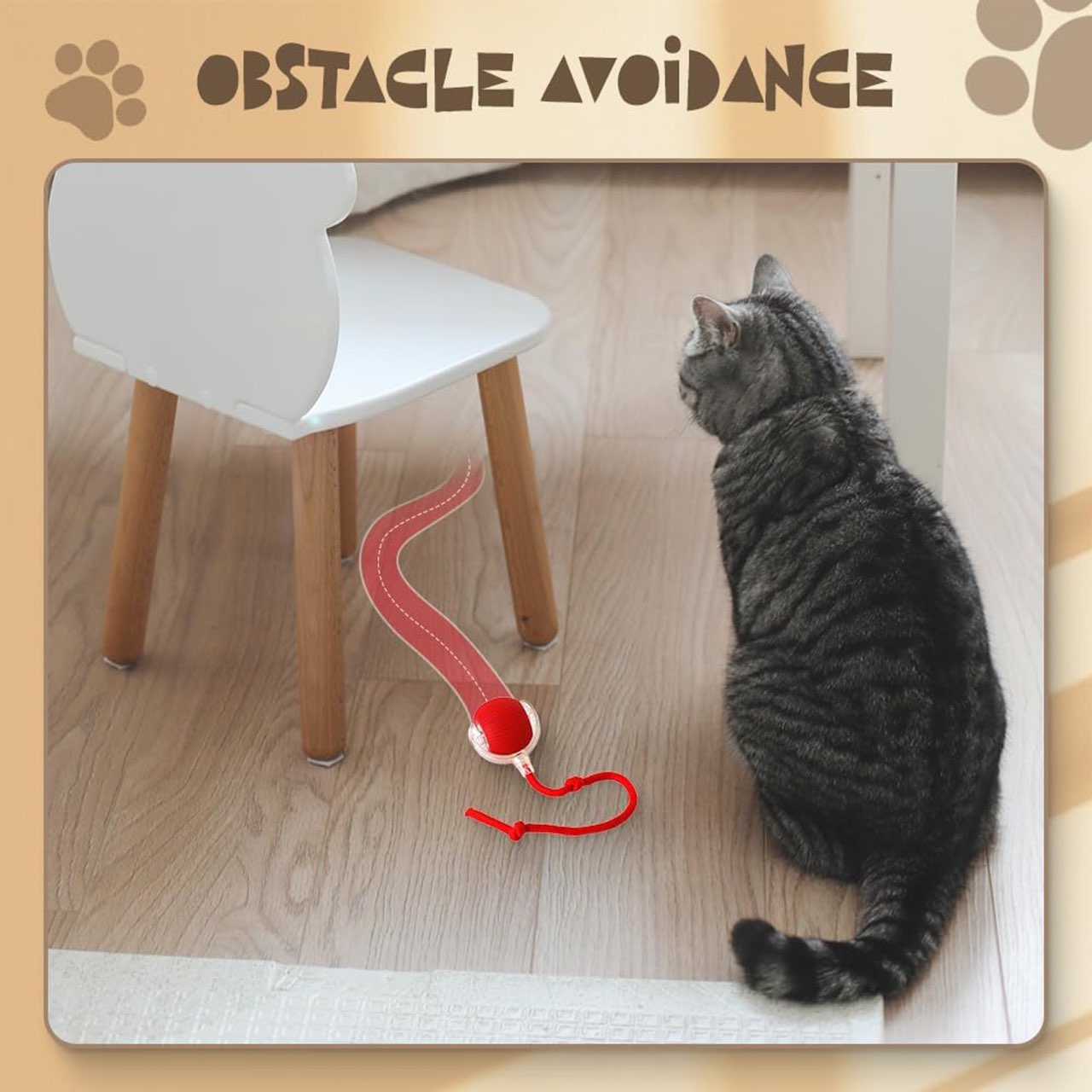 RollBall, a play ball with a leash for pets - Image 6