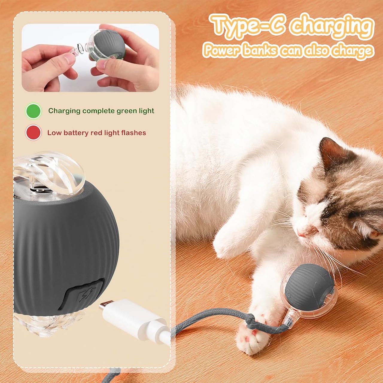 RollBall, a play ball with a leash for pets - Image 10