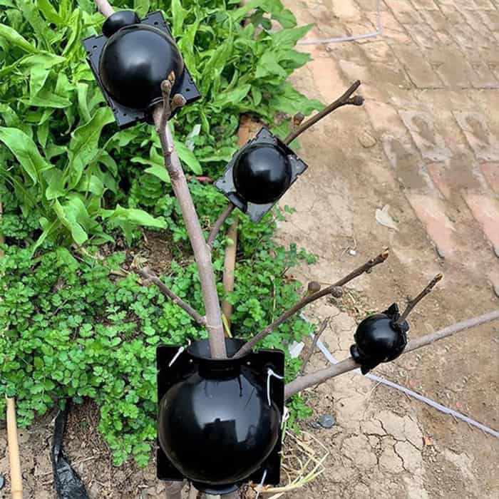 RootBall, a tool for successful plant cloning (2 pcs.) - Image 2