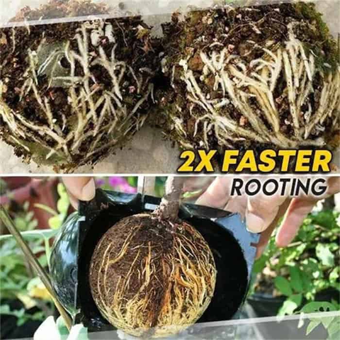 RootBall, a tool for successful plant cloning (2 pcs.) - Image 8
