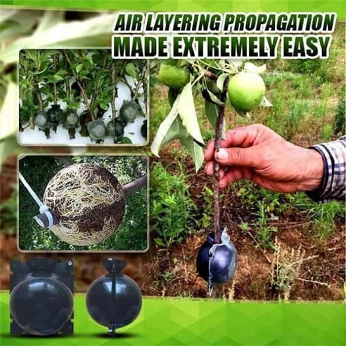 RootBall, a tool for successful plant cloning (2 pcs.) - Image 9