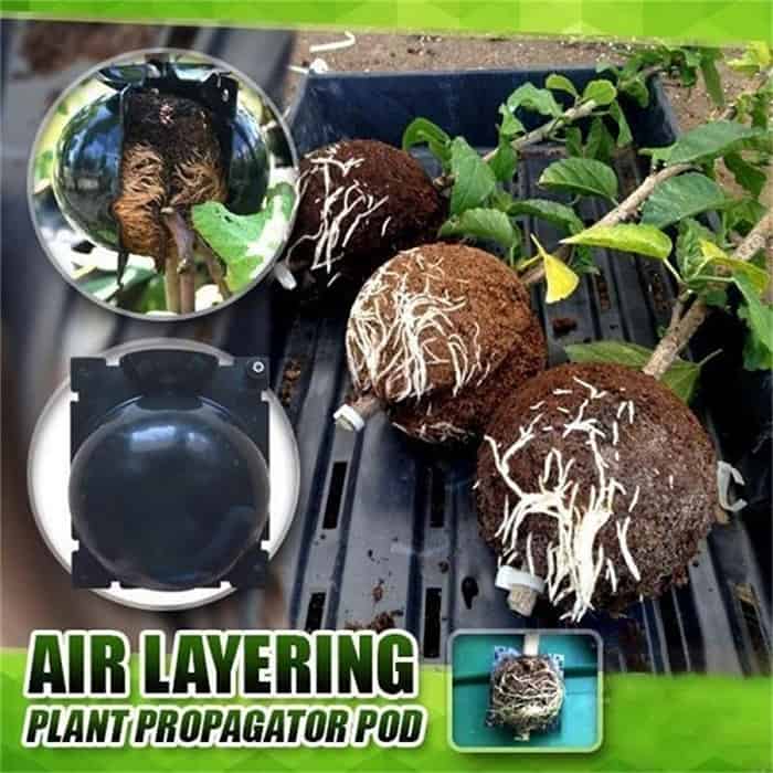 RootBall, a tool for successful plant cloning (2 pcs.) - Image 10