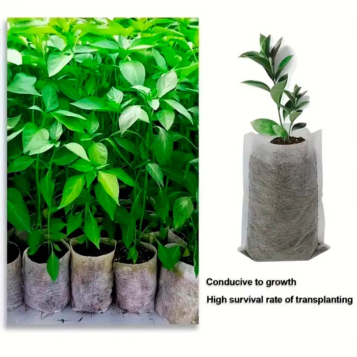 SeedBags, biodegradable bags for planting and growing plants (100 pcs) - Image 4