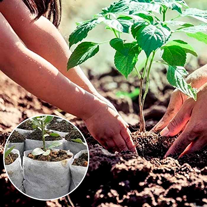 SeedBags, biodegradable bags for planting and growing plants (100 pcs) - Image 7