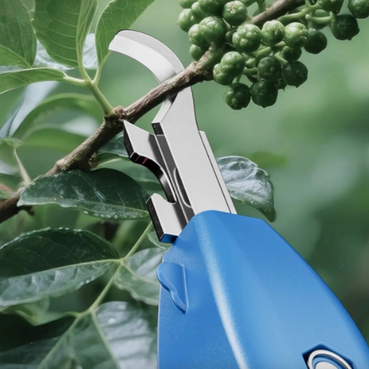 Specially shaped plant pruning blade
