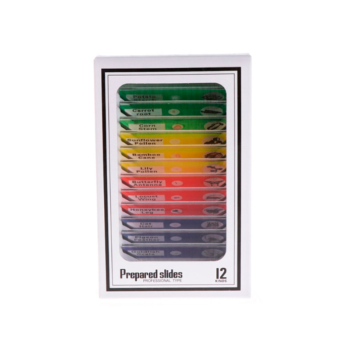 Slides, microscope slide set (12 pieces) - Image 2