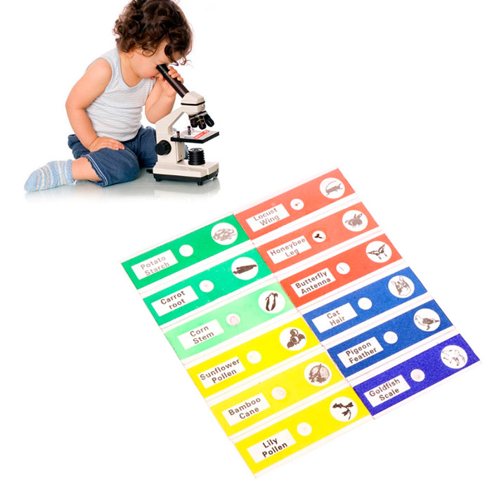 Slides, microscope slide set (12 pieces) - Image 3