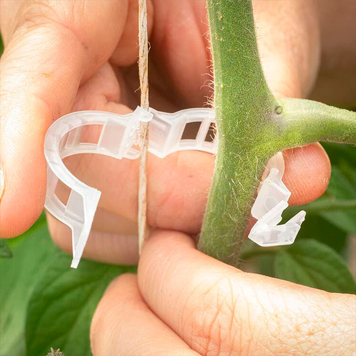 SnapClips, Plant Clips (50 pieces) - Image 6
