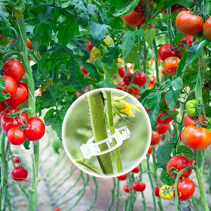 Suitable for supporting different types of plants such as tomatoes, cucumbers, houseplants, etc.