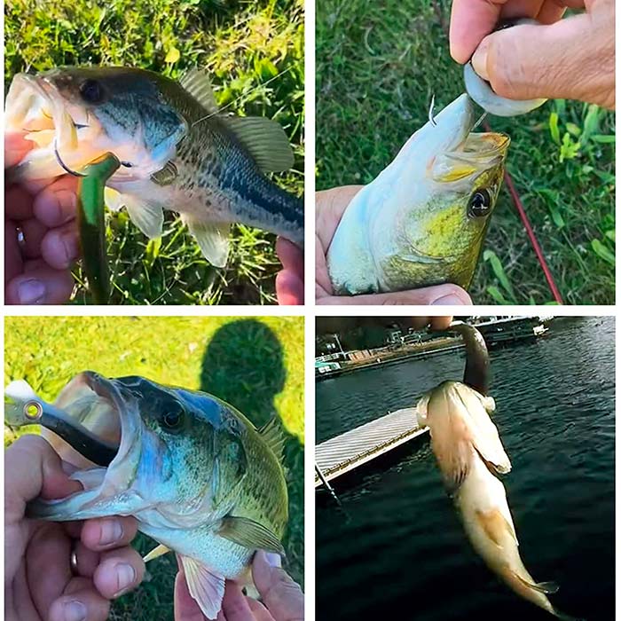 SoftLures, fish bait (5 pieces) - Image 6