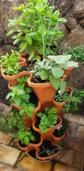 StandPots, stepped planters for all types of plants (2 pcs.) - Image 2