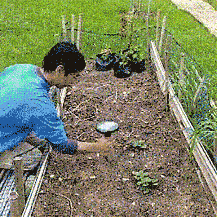 SunRepel, a non-toxic solar garden pest repellent - Image 8