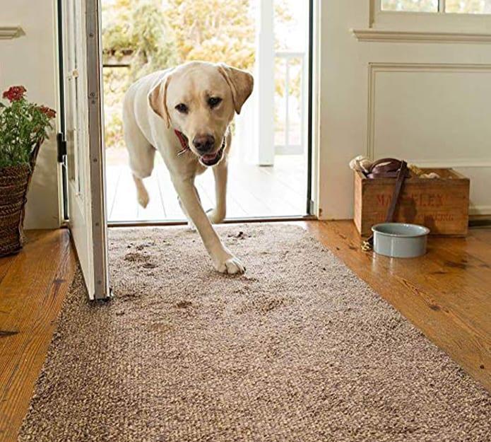 SuperStep, the carpet that cleans soles and paws in just one step - Image 5