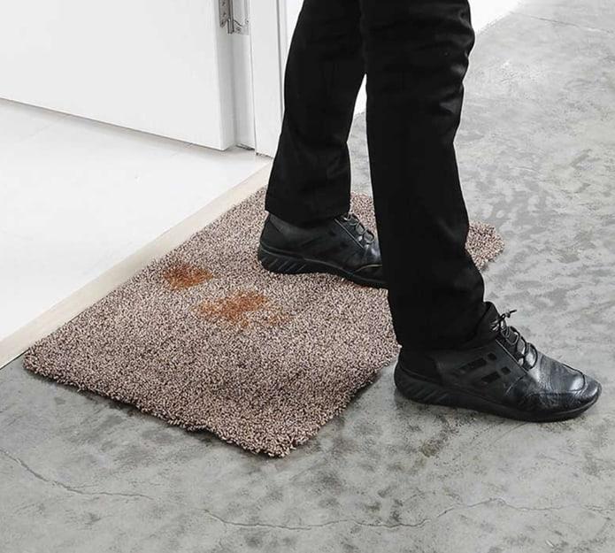 SuperStep, the carpet that cleans soles and paws in just one step - Image 7