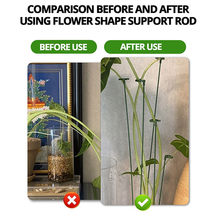 SupportPlant, plant support (10+10 FREE) - Image 4