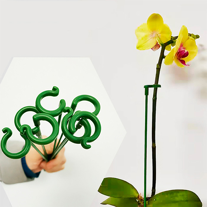 SupportPlant, plant support (10+10 FREE) - Image 7