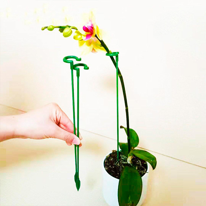 It'll help your plants grow better and healthier!