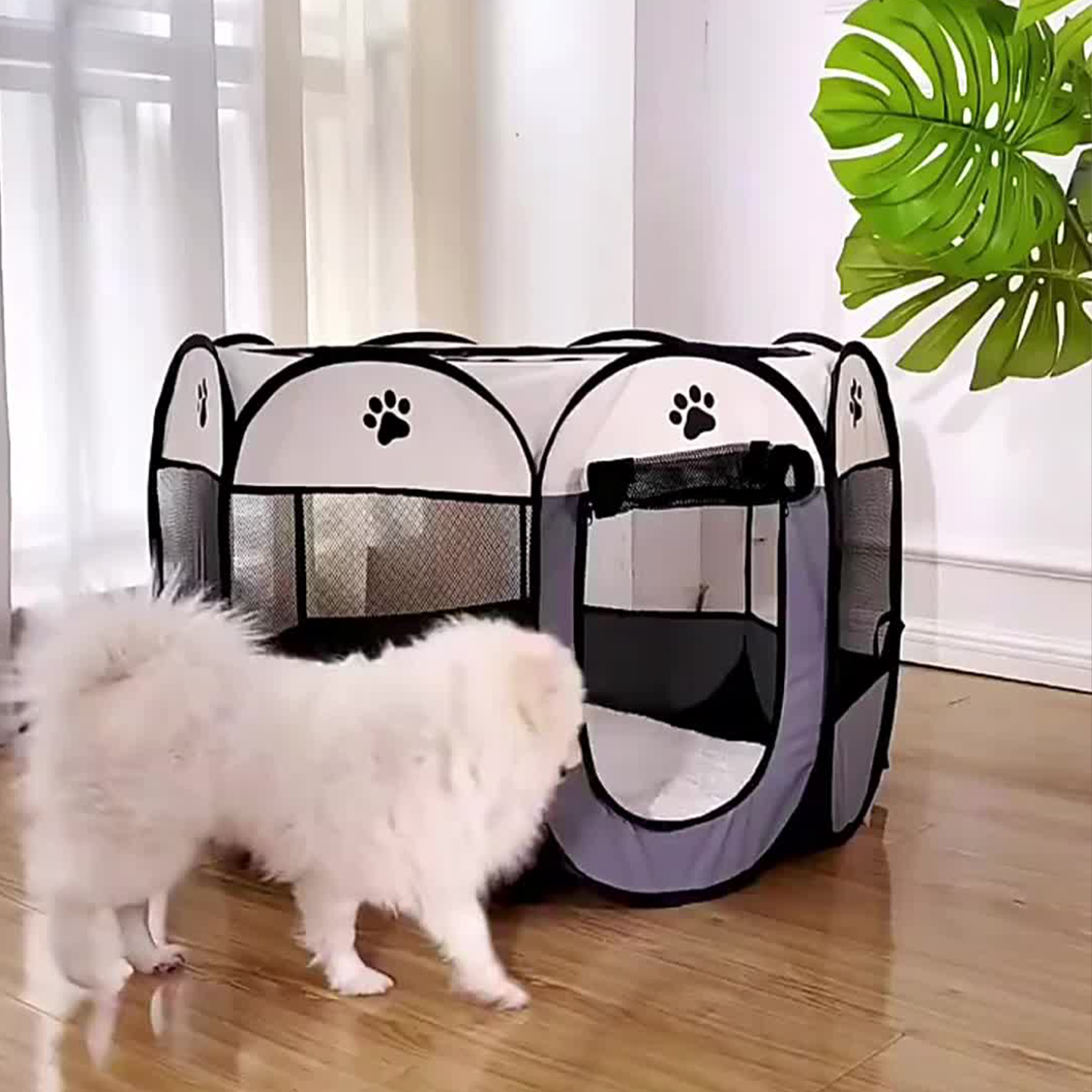 Tent4Pet, the pet tent - Image 3