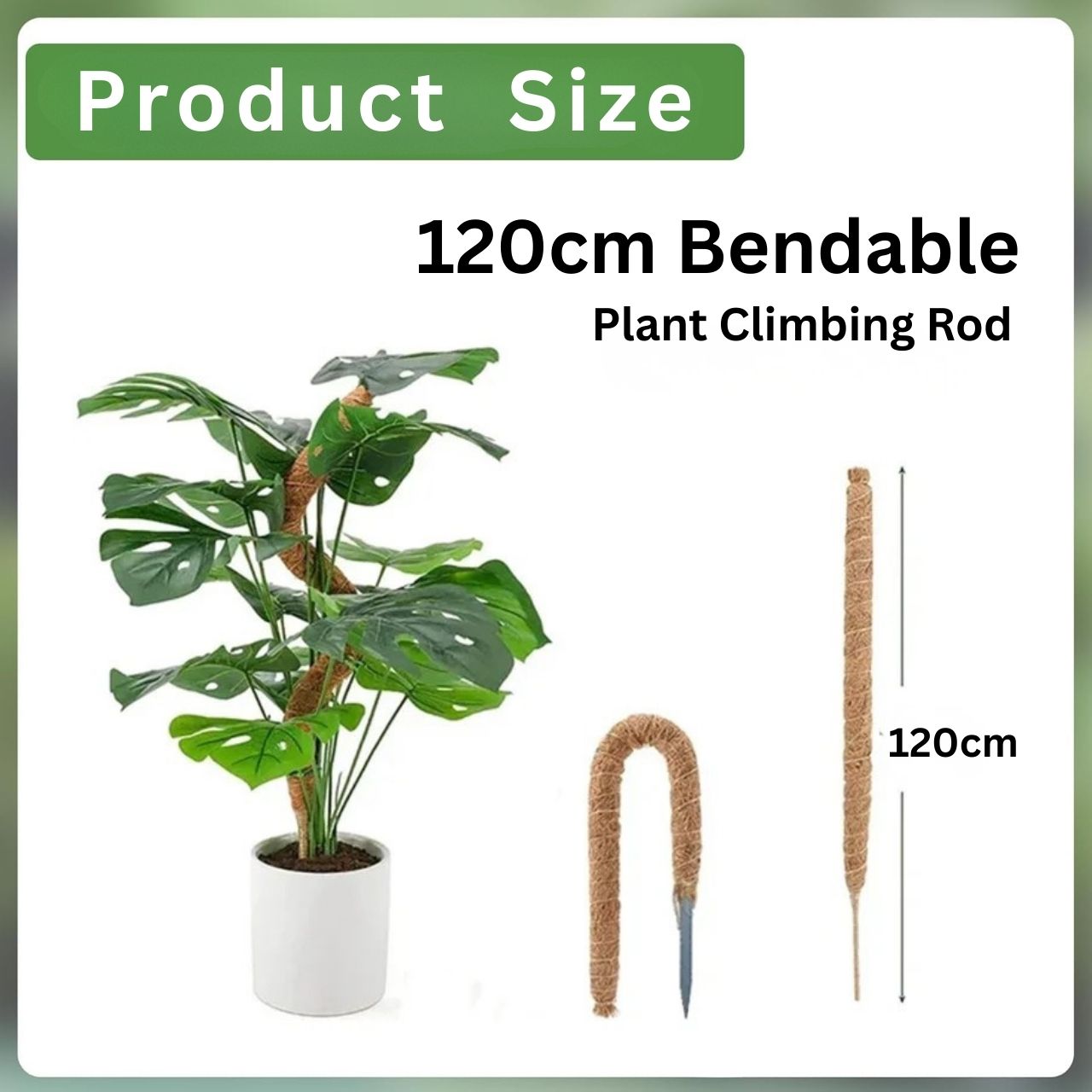 UniquePlant, plant support pillar