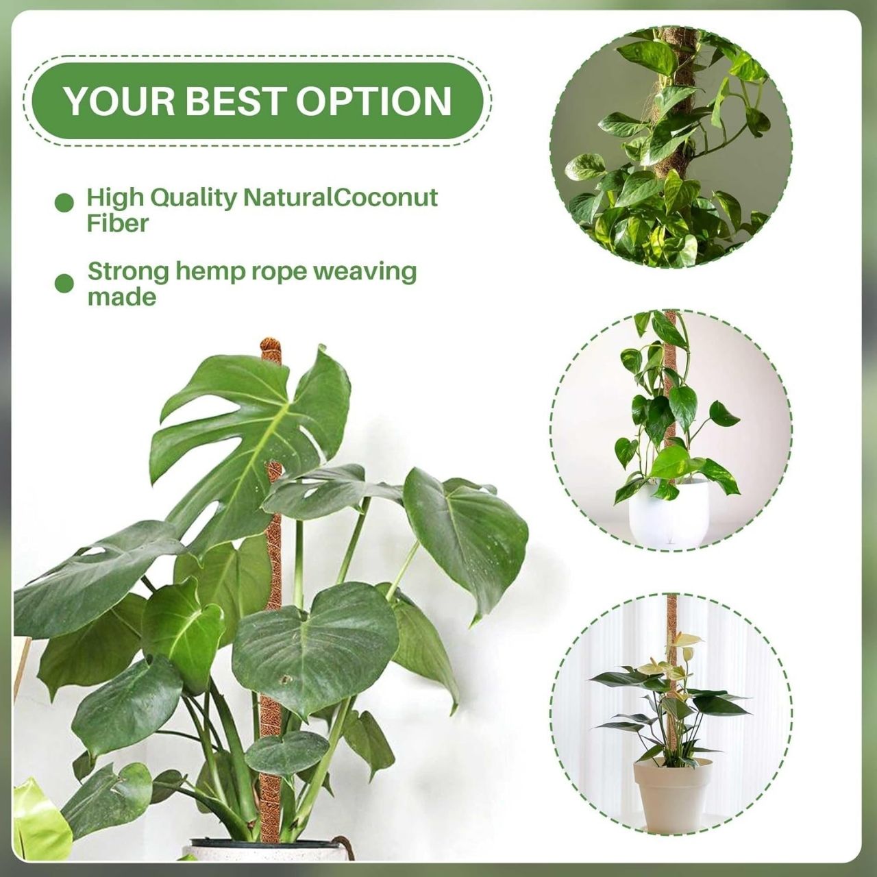Stable support for plants
