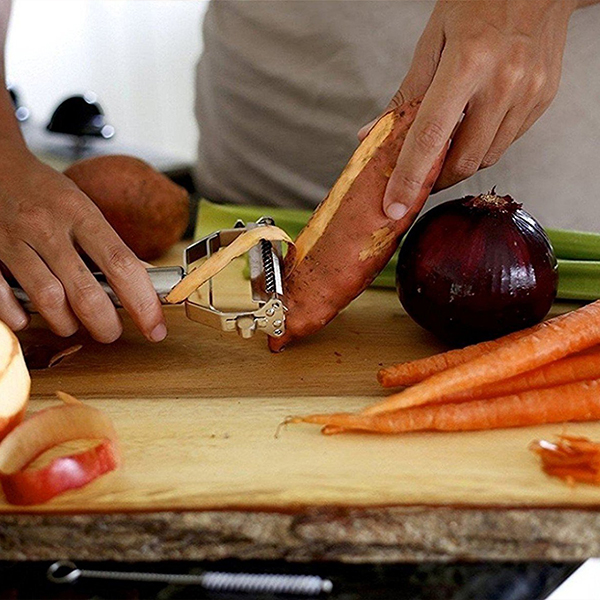 WHY IS VEGAN THE RIGHT CHOICE?