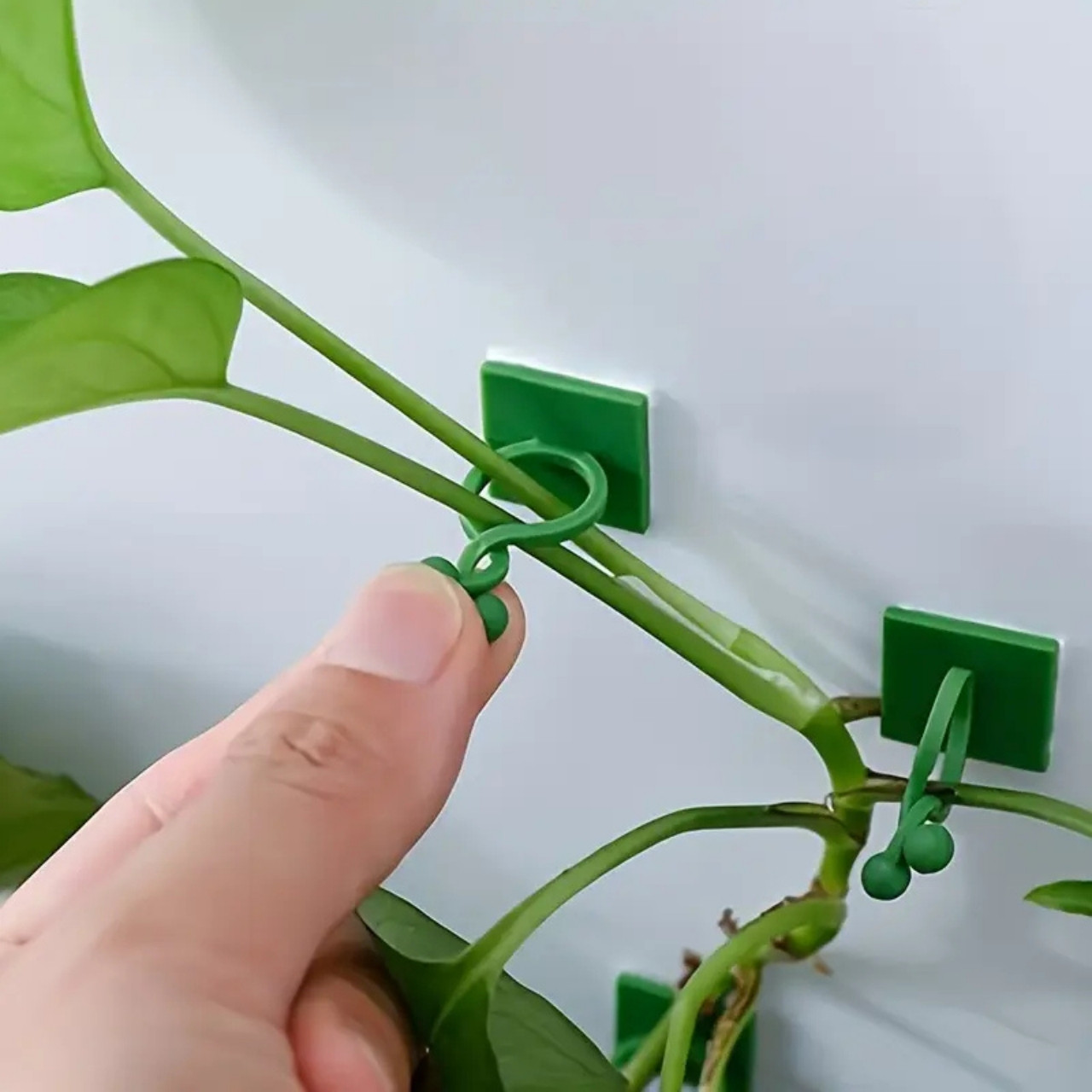 Vines, self-adhesive plant holders and climbers (100 pieces) - Image 3
