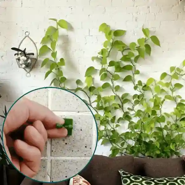 Vines, self-adhesive plant holders and climbers (100 pieces) - Image 9
