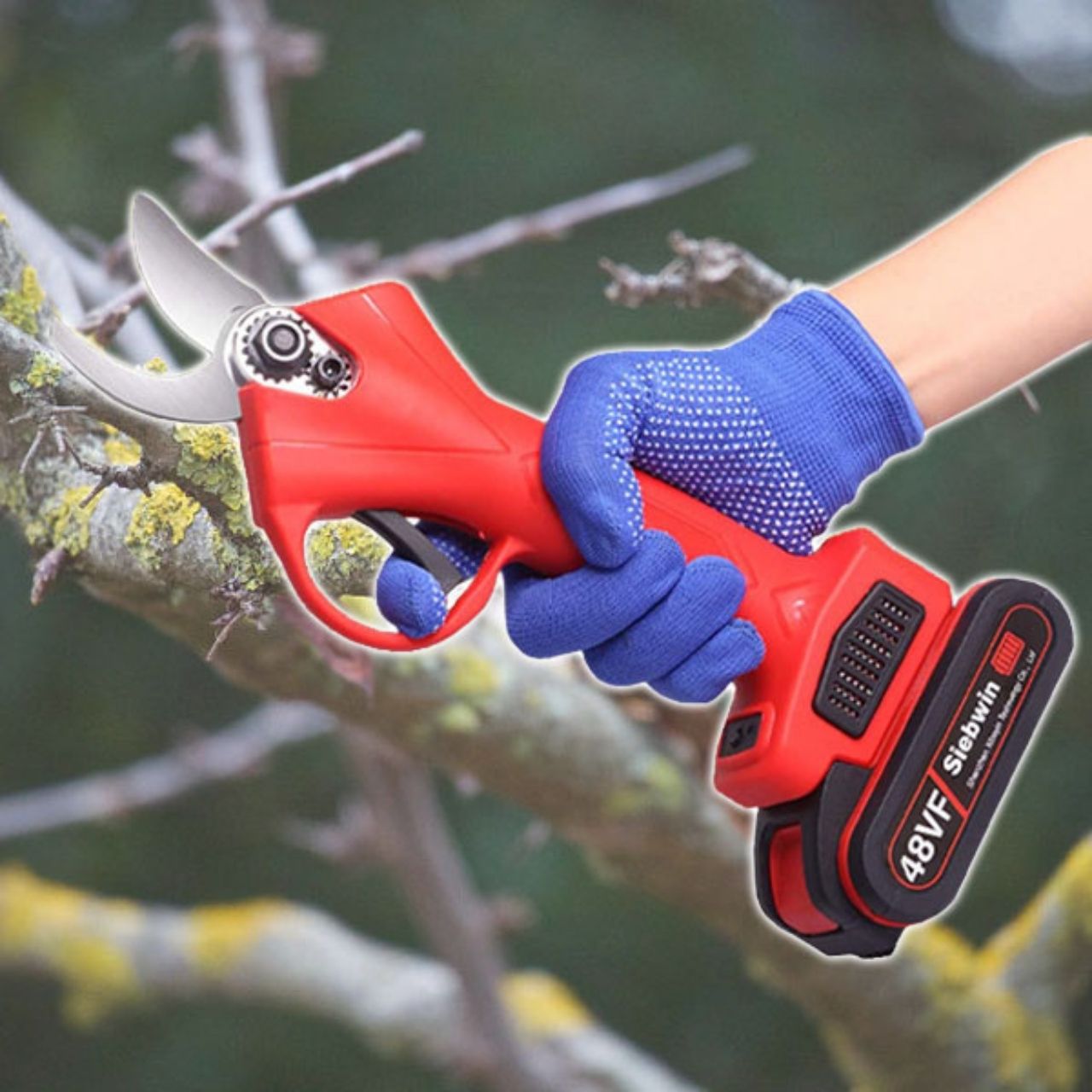 Whizzy, the electric pruning shears - Image 2