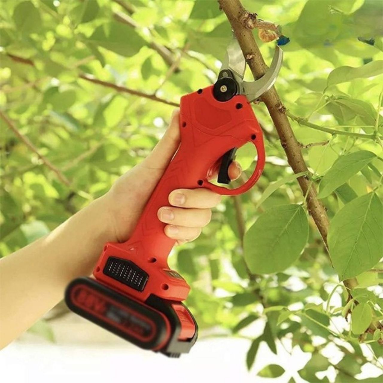 Whizzy, the electric pruning shears - Image 3