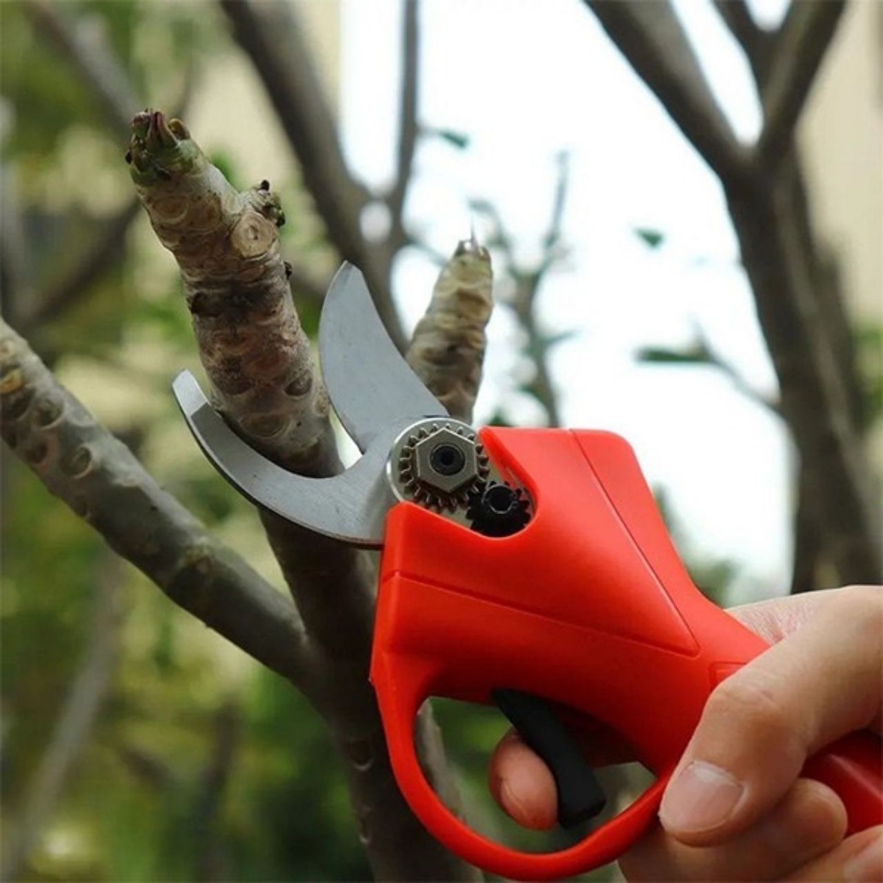 Whizzy, the electric pruning shears - Image 4