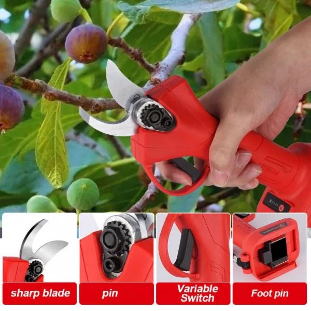 The powerful cutting jaws allow precise pruning up to 25 mm thick - perfect for roses, fruit trees or ornamental shrubs.