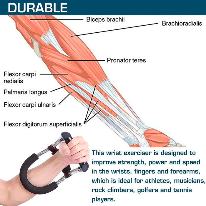 WristPower, a tool for strengthening the muscles of the fingers, hands and arms - Image 7